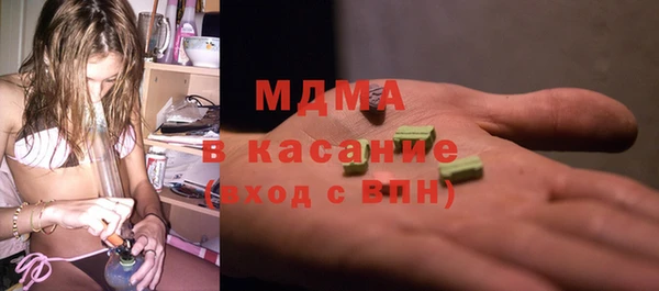 прущие грибы Бородино