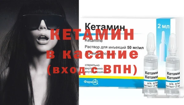 прущие грибы Бородино