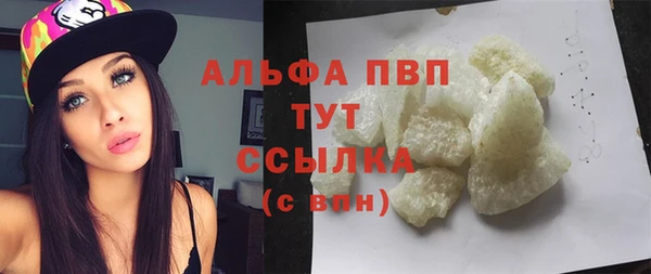 прущие грибы Бородино