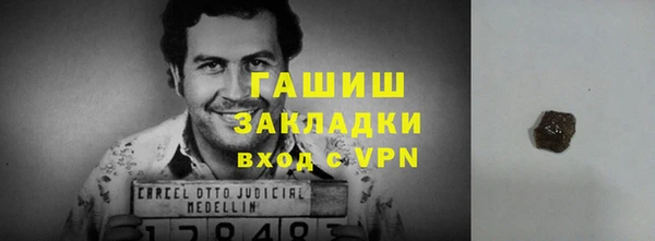 прущие грибы Бородино