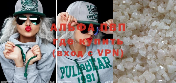 прущие грибы Бородино