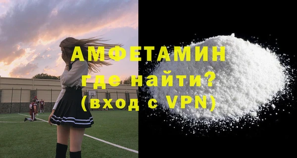 индика Пестово