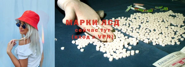 PSILOCYBIN Верея