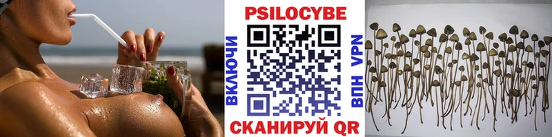 Псилоцибиновые грибы мухоморы  Губкинский 